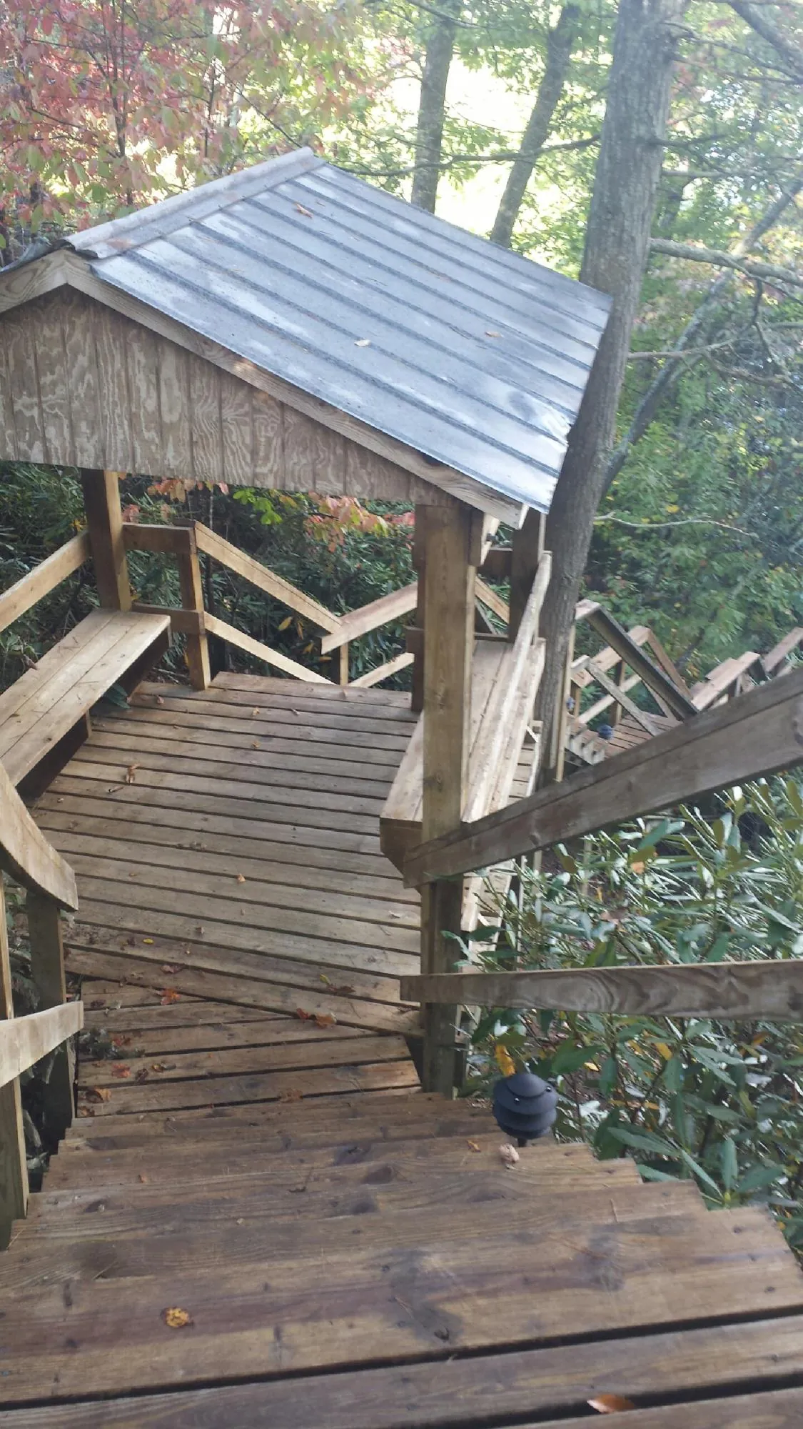 Metal roofed shelter over wooden steps on a wooded walkway — Skylight Repair & Installation work by our crew in Jeanerette